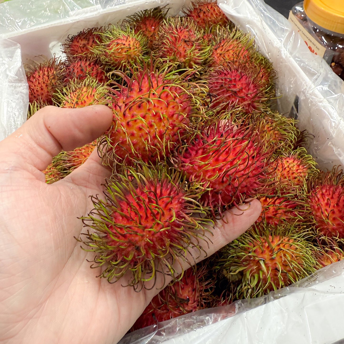 Chôm Chôm Nam Mỹ