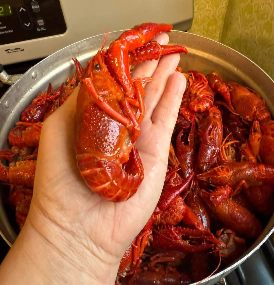 Crawfish Fisherman 5 Lbs