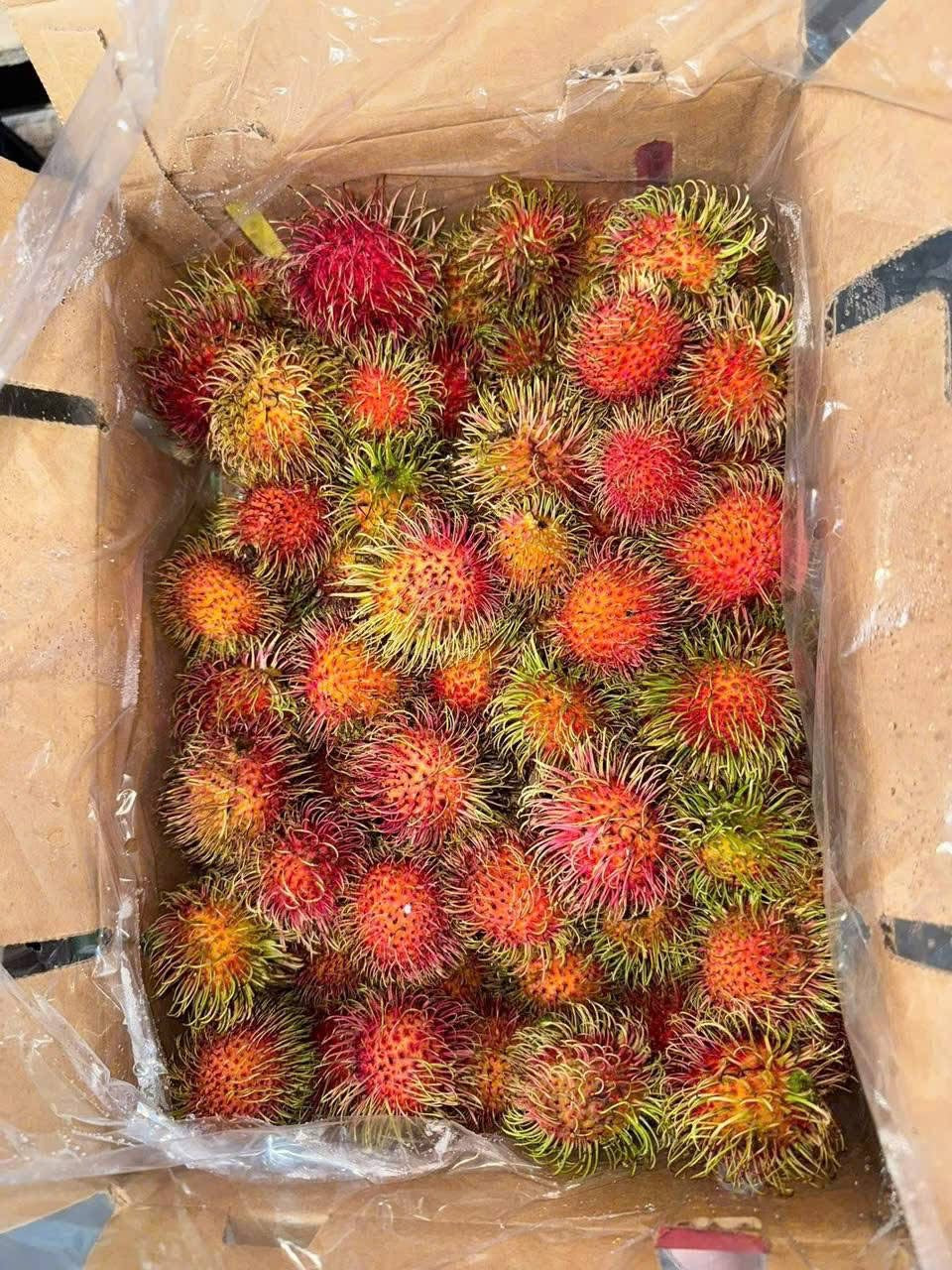 Chôm Chôm Nam Mỹ