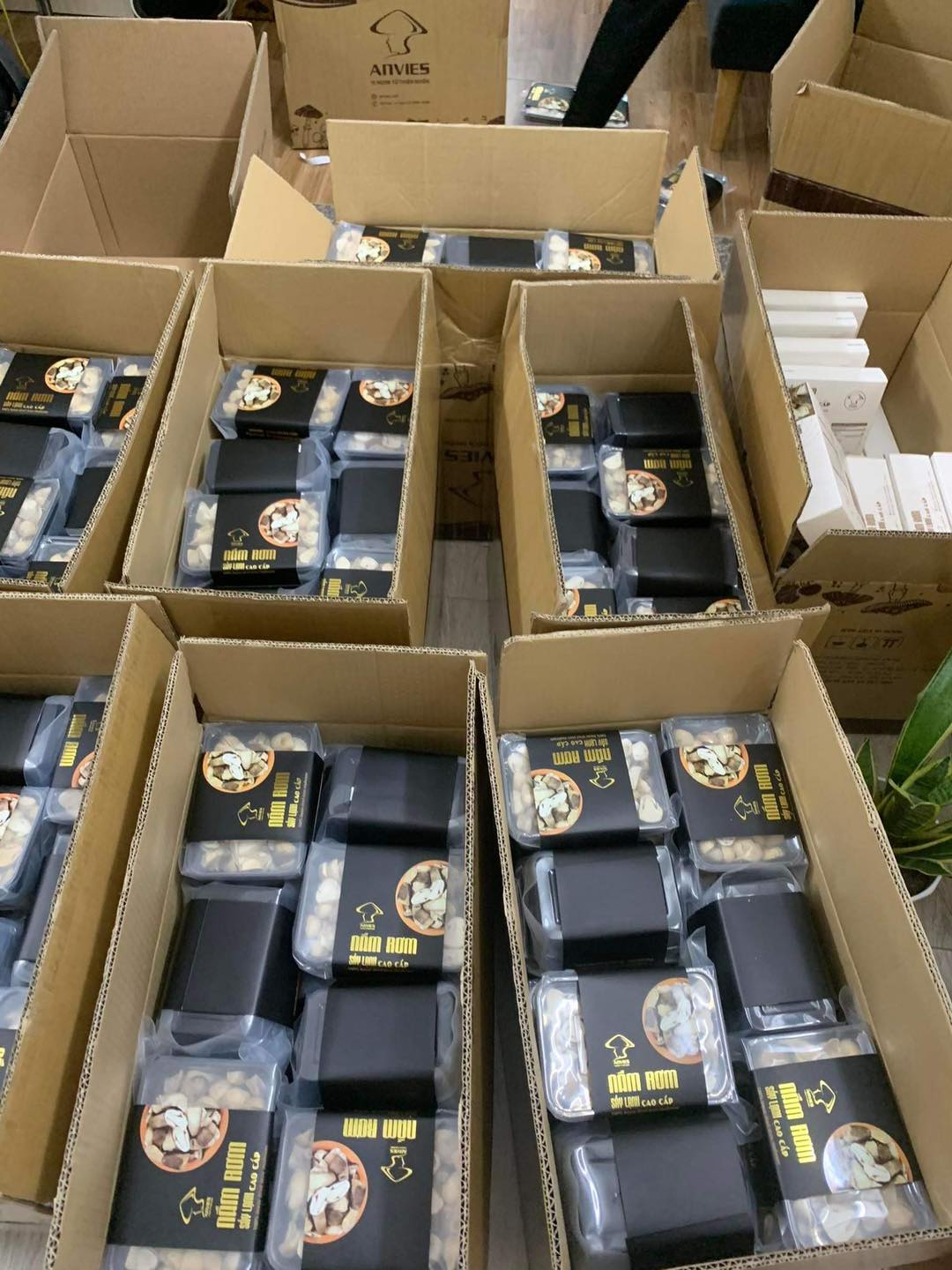 Nấm Rơm Sấy Lạnh Anvies 50g