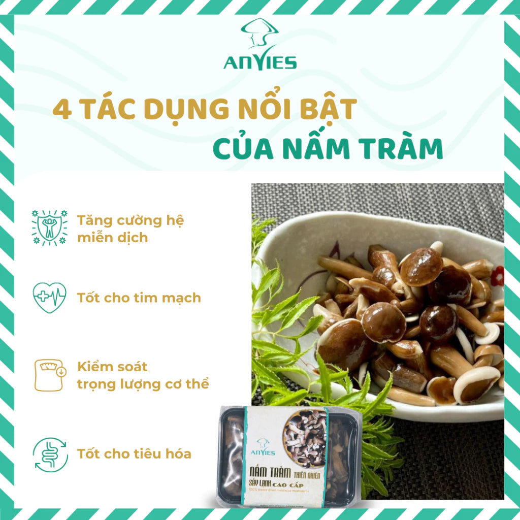 Nấm Tràm Anvies 50g