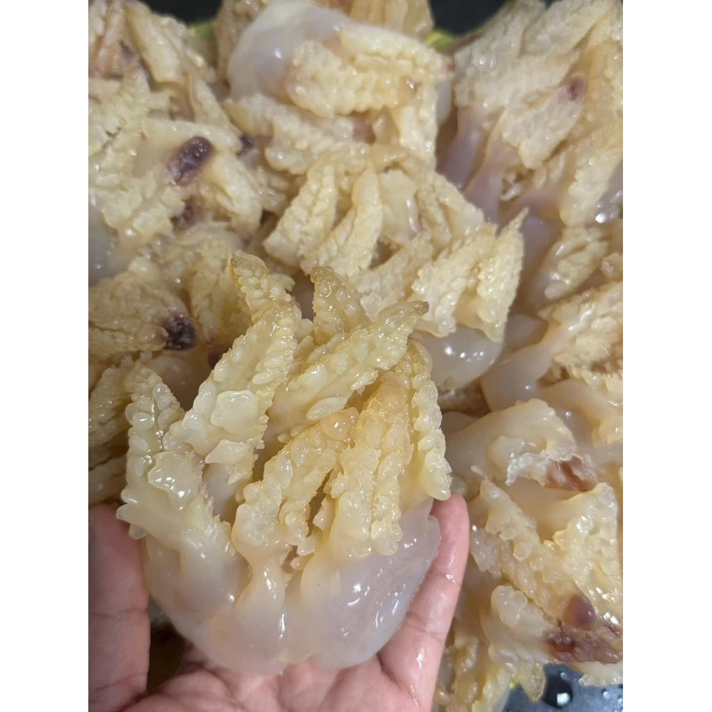 Sứa Tươi Giòn | Jellyfish