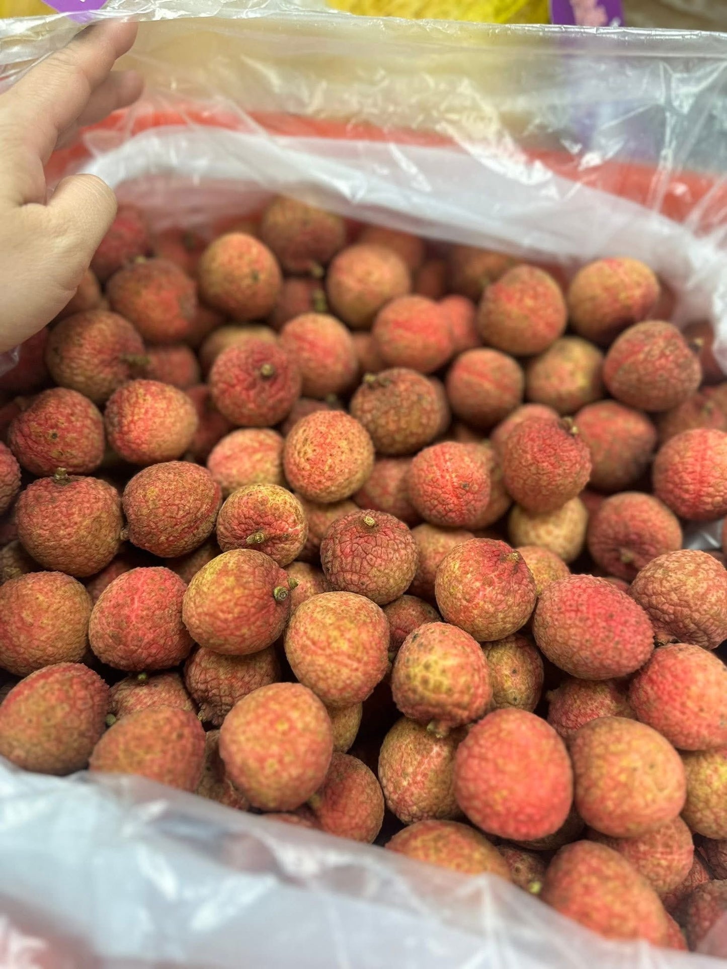 Vải Thiều Lục Ngạn