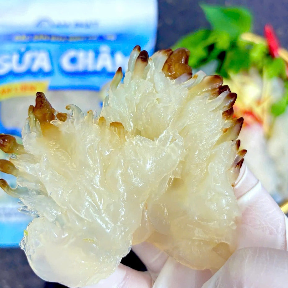 Sứa Tươi Giòn | Jellyfish