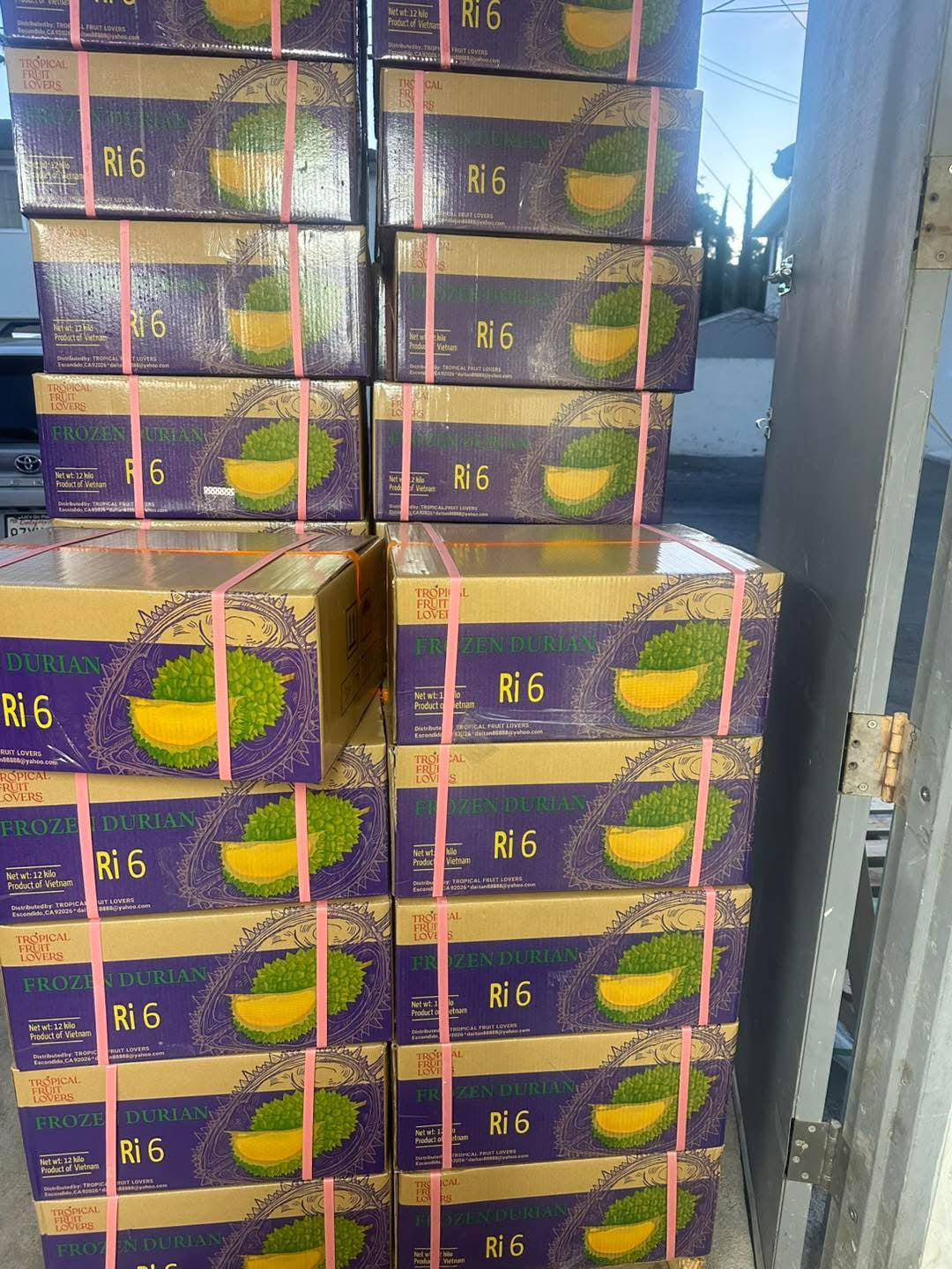 Sầu Riêng Ri6