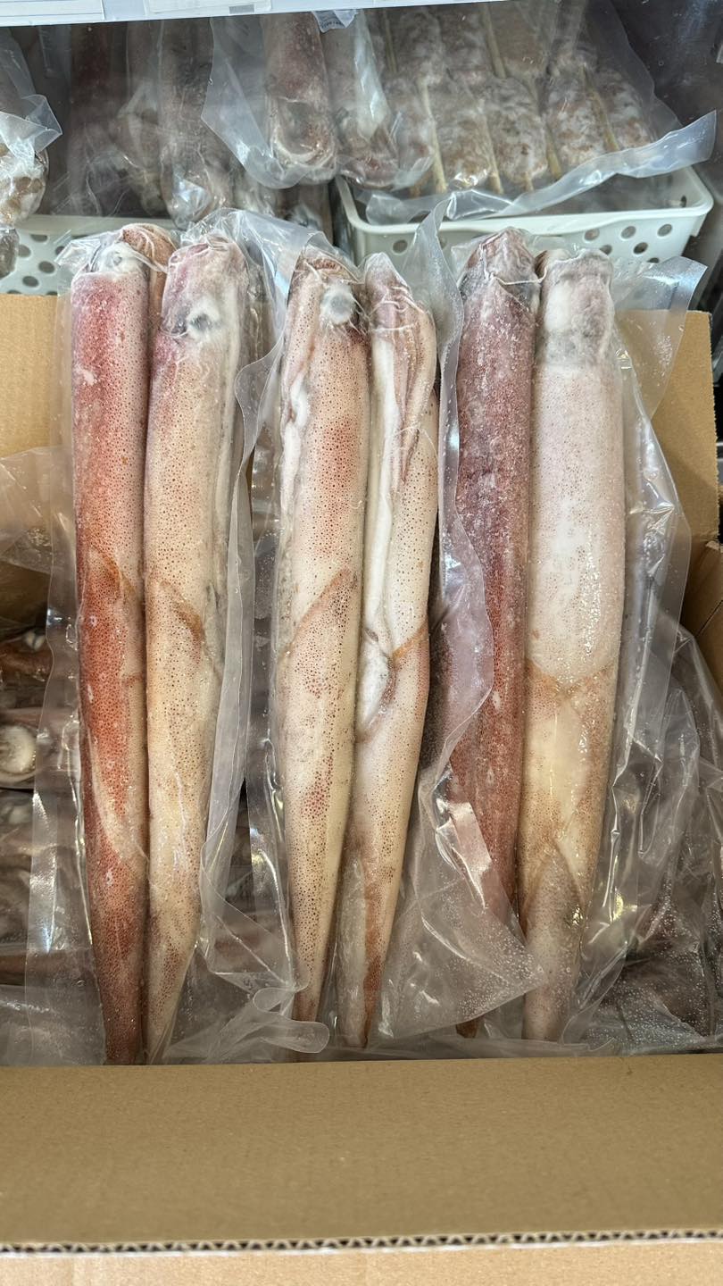 Mực Ống Kensaki Loại 1 ( Hơn 30 Cm )