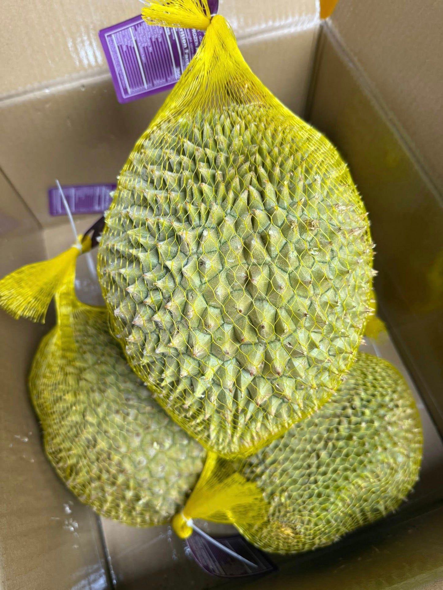 Sầu Riêng Ri6