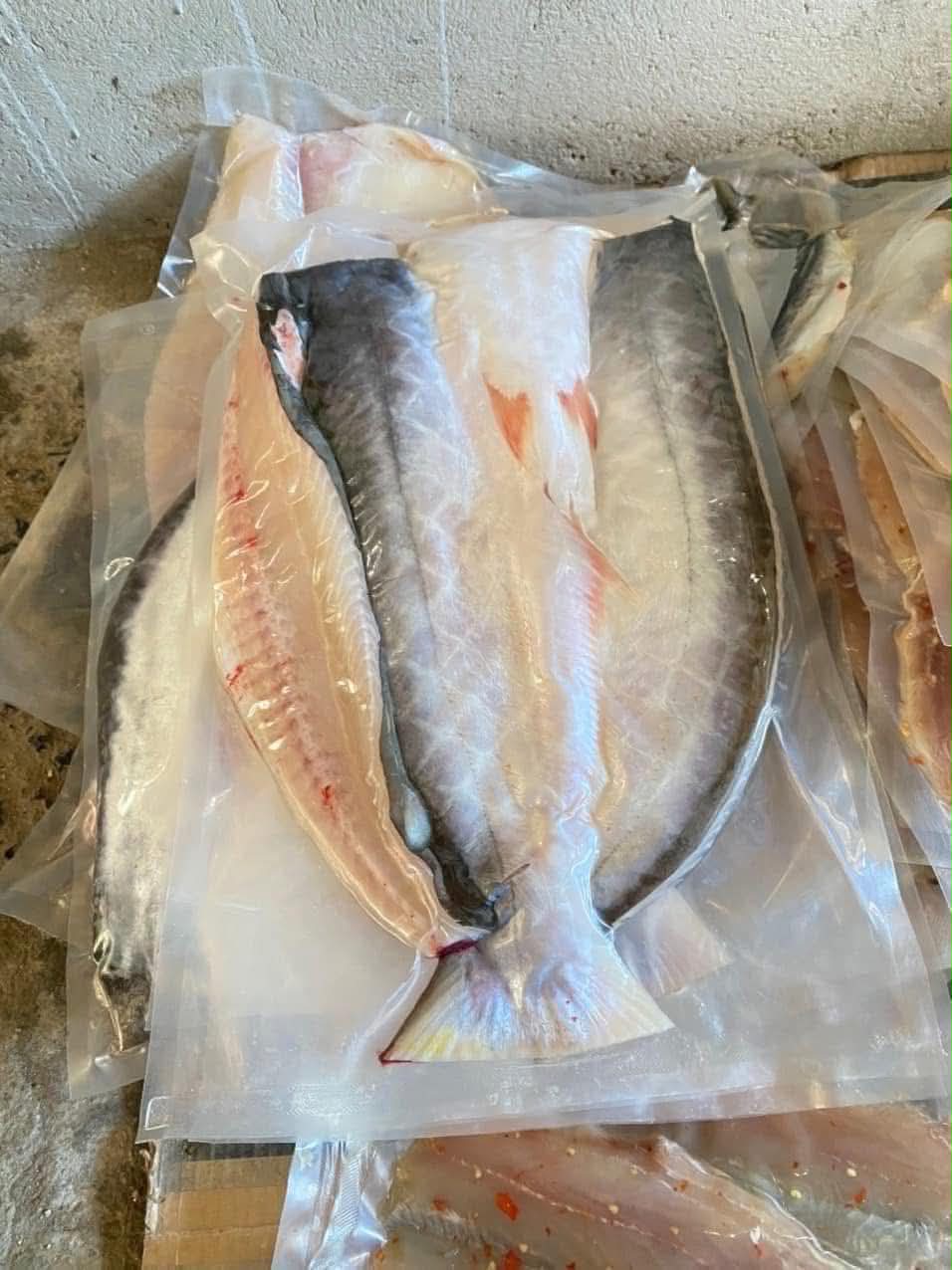 Cá Dứa Một Nắng | Frozen Pangasius Fish