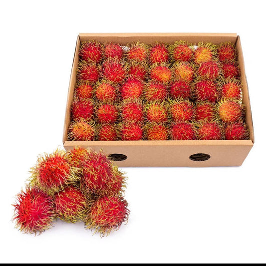 Chôm Chôm Nam Mỹ