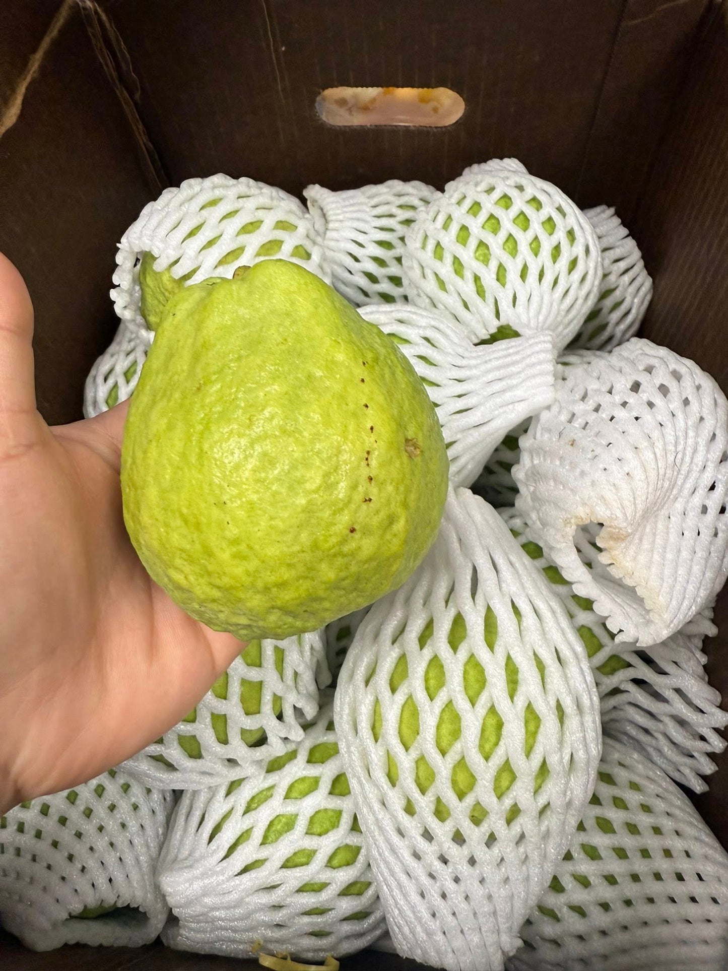 Ổi Ruột Đỏ