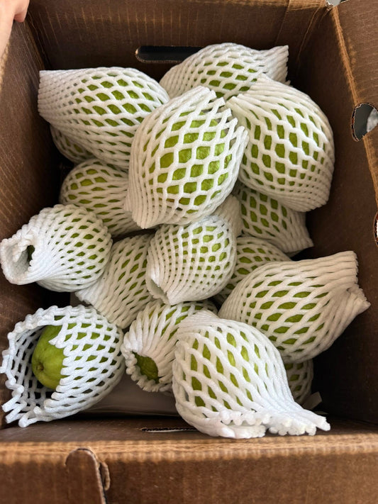 Ổi Ruột Đỏ