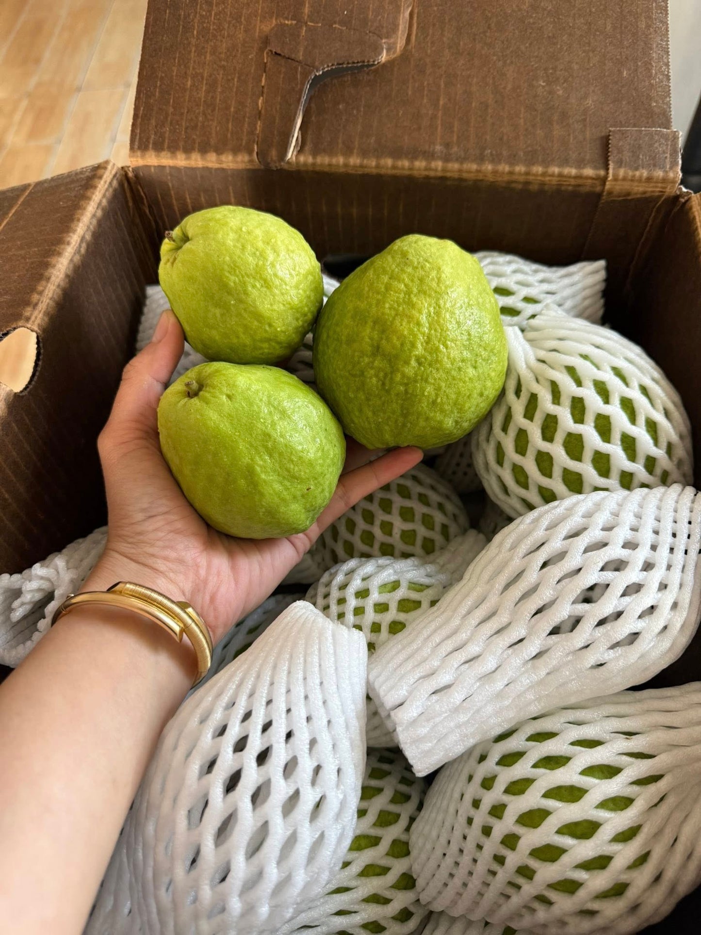 Ổi Ruột Đỏ