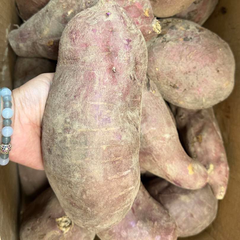 Khoai Lang Nhật 10 lb | Japanese Sweet Potatoes