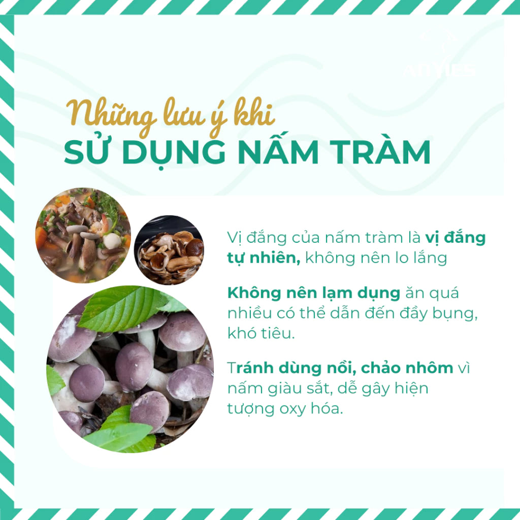 Nấm Tràm Anvies 50g