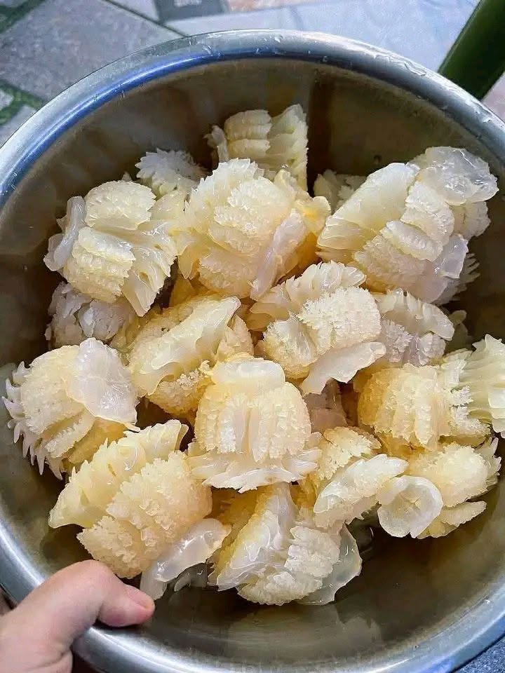 Sứa Tươi Giòn | Jellyfish