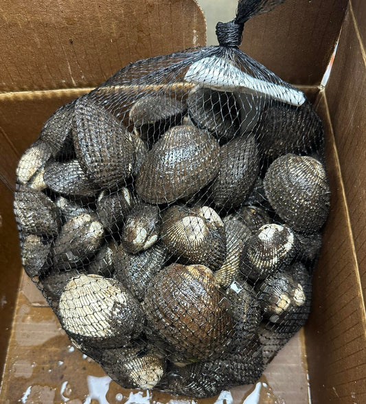 Sò Huyết Mexico 10 Lbs
