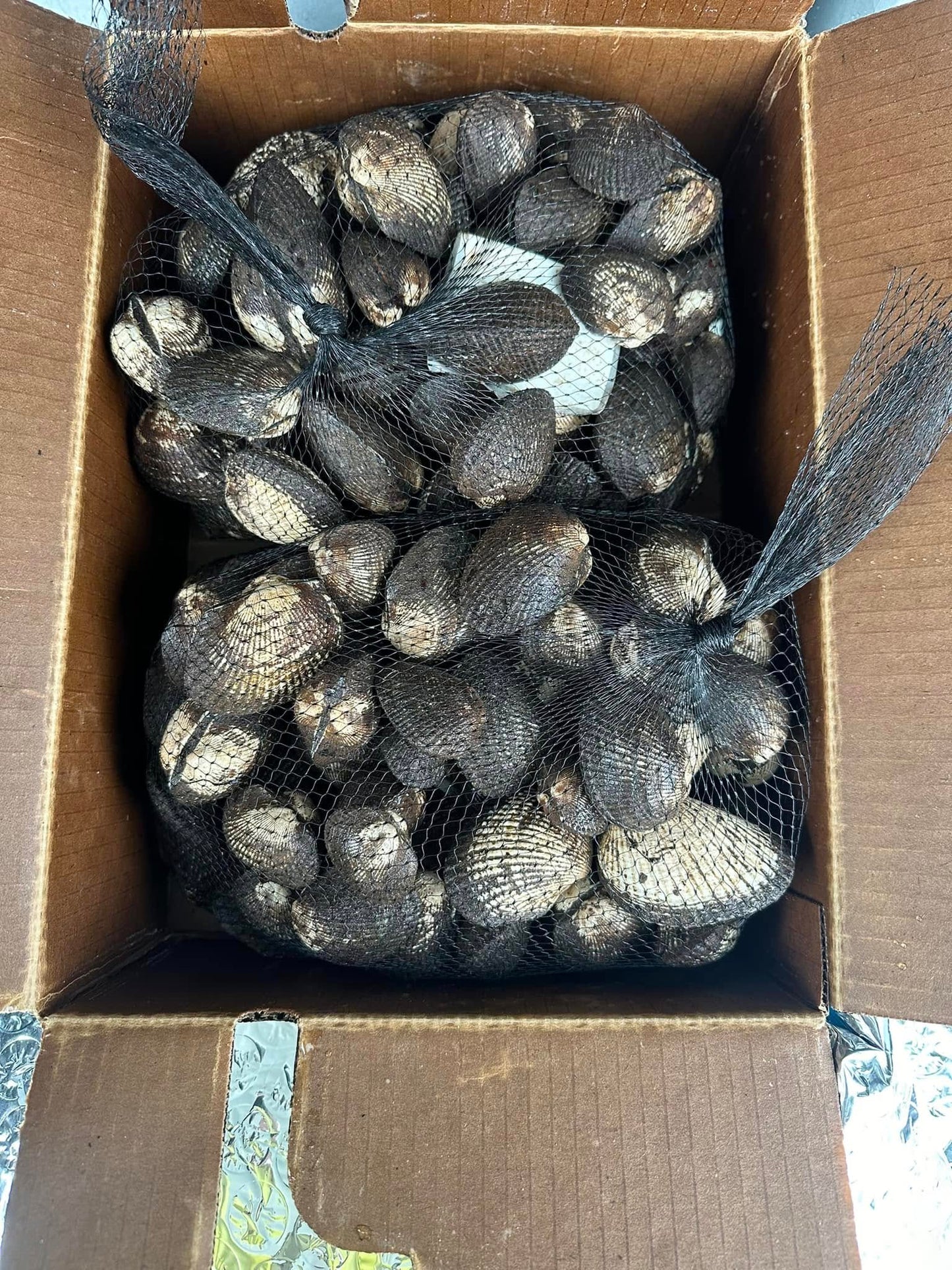Sò Huyết Mexico 10 Lbs