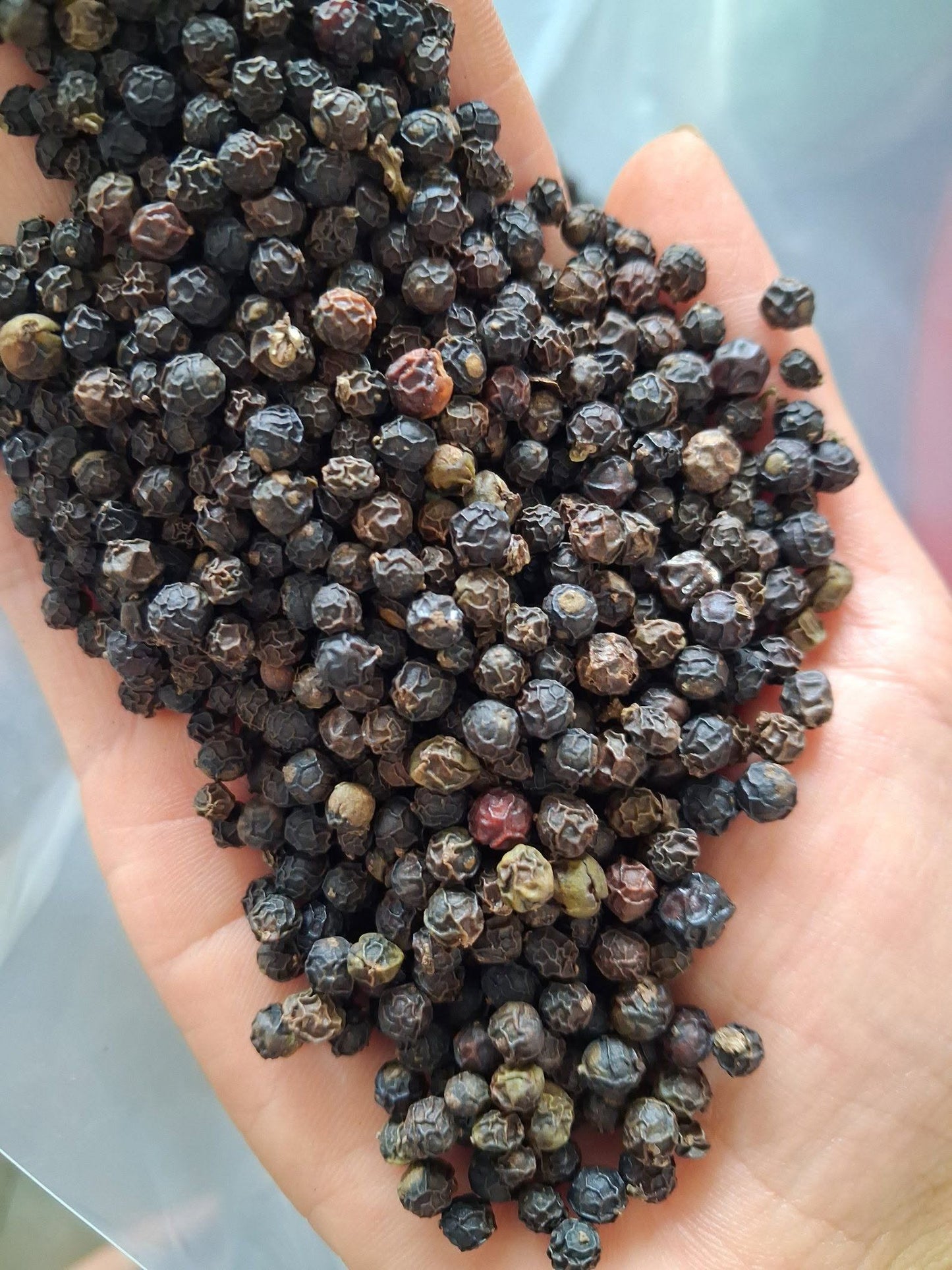 Tiêu Đen | Black Pepper