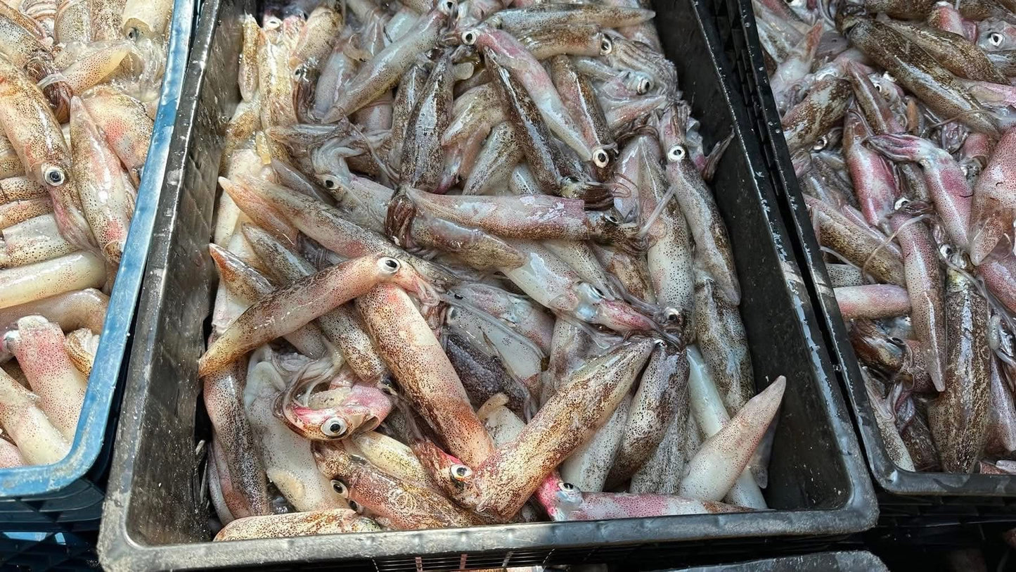 Mực Trứng Cali
